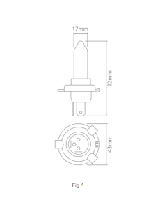 Ionnic 64196 Globe Halogen H4 24V 75/70W P43t-38